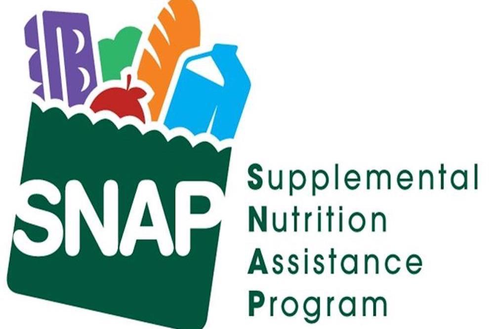 supplemental nutrition assistance program card