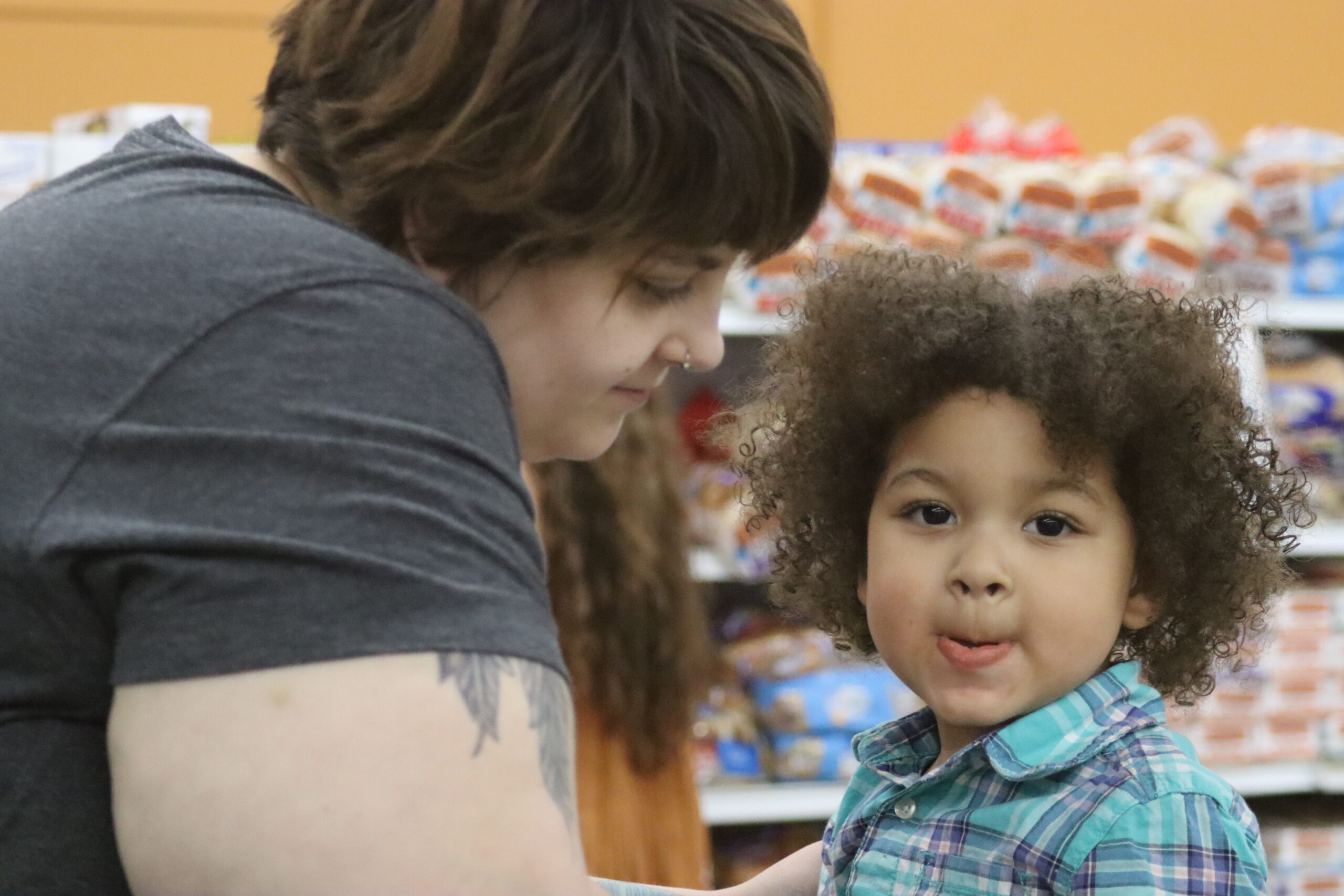 Get Groceries & Resources - Northern Illinois Food Bank