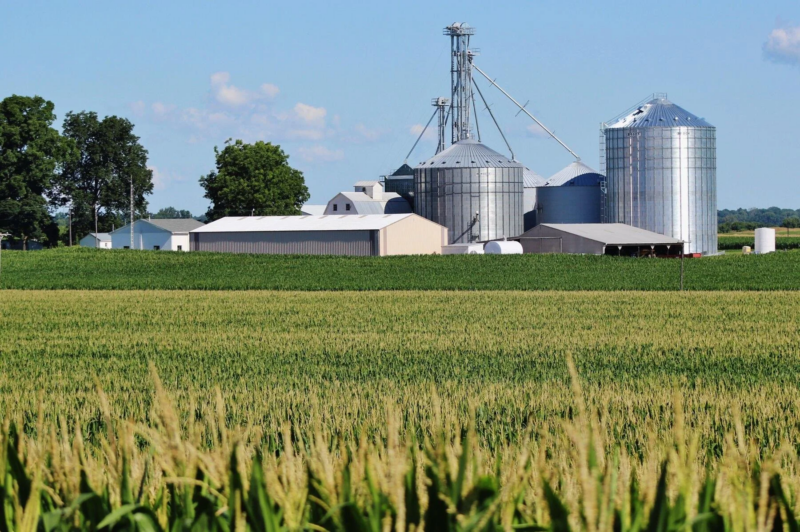 Farm to Food Bank